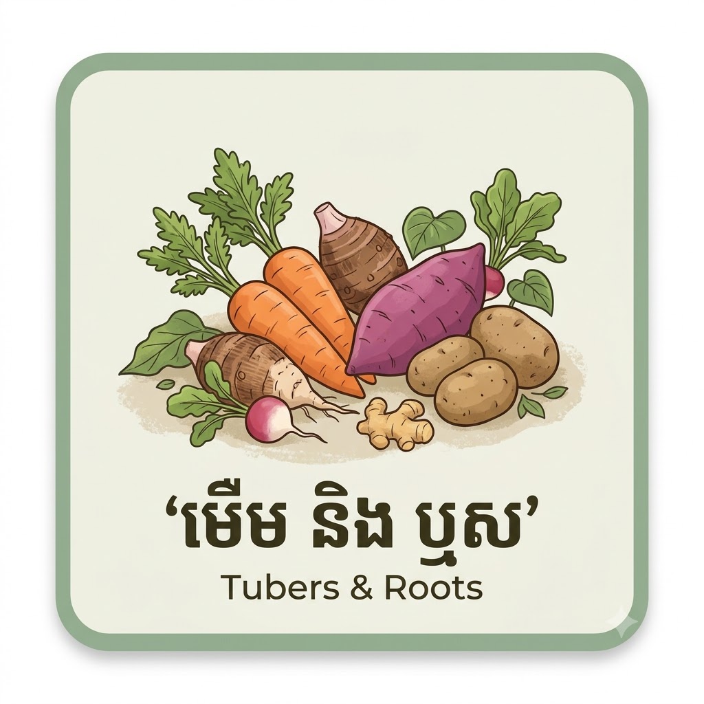 មើម និង ឫស